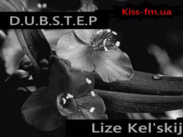 Dj Lize Kelskij - Next level DUBSTEP 2013