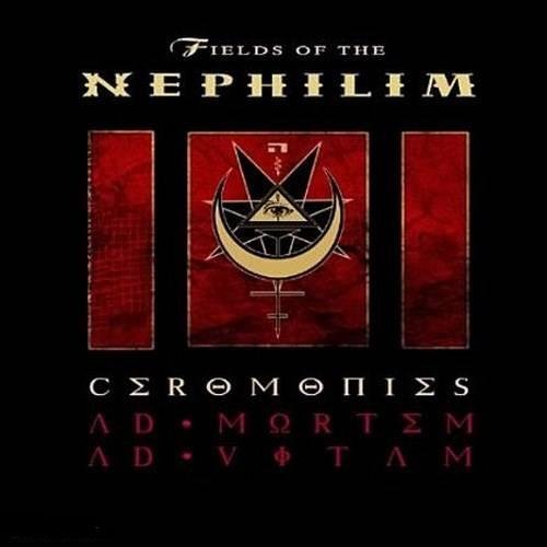 Fields Of The Nephilim - Straight To The Light