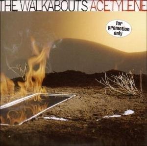 Walkabouts - Devil In The Details