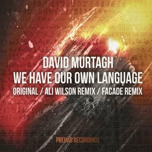 David Murtagh - We Have Our Own Language (Ali Wilson Remix)