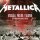 Metallica - The Ecstasy Of Gold