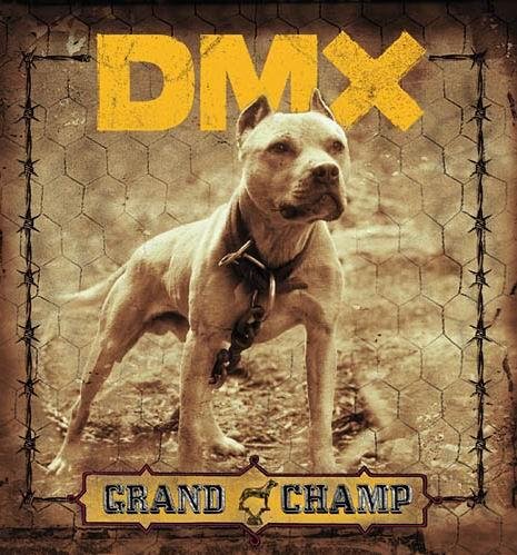 Dmx - Bring The Noize