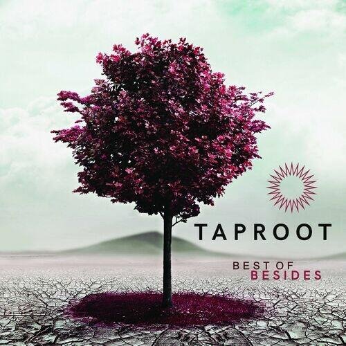 Taproot - Без названия