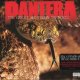 Pantera - 10s