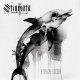 Stigmata - In the Ocean of Bones