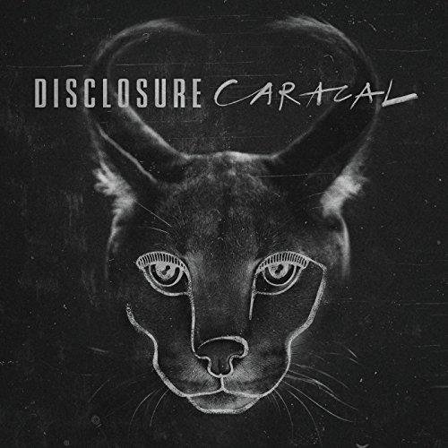 Disclosure - Molecules