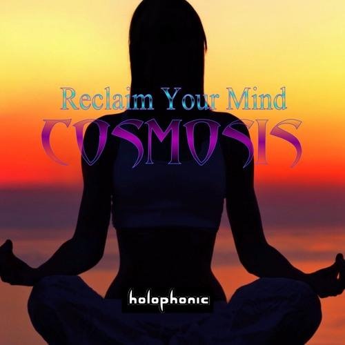 Cosmosis - Reclaim Your Mind