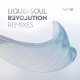 Liquid Soul - Revolution Time In Motion Remix