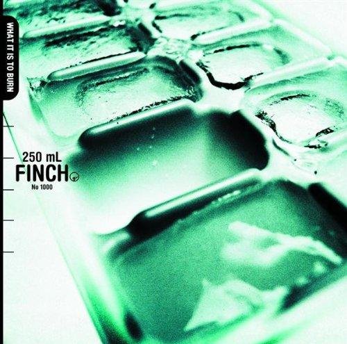 Finch - Without You Here