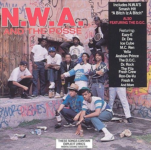 N.W.A - Panic Zone