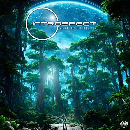 Introspect - Technology Cycles