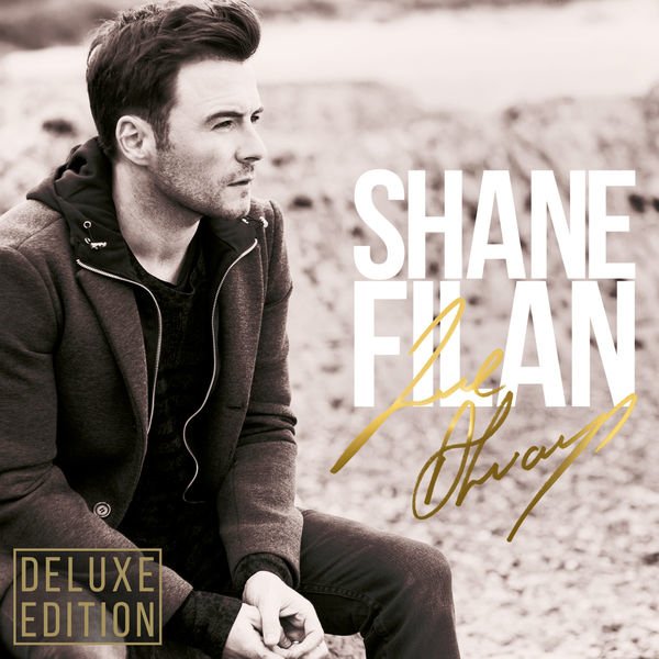 Shane Filan - This I Promise You (Live in Belfast)