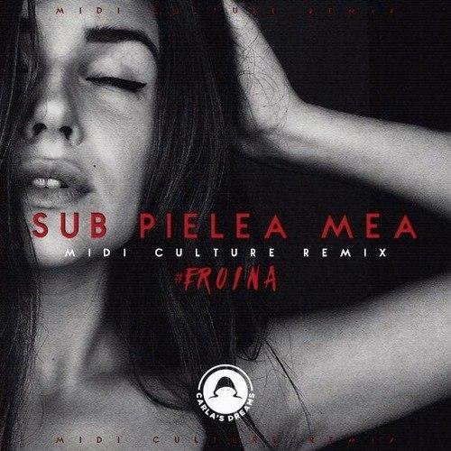 CARLA'S DREAMS - SUB PIELEA MEA (Midi culture remix 2016)