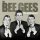 The Bee Gees - How Many Birds