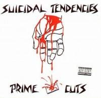 Suicidal Tendencies - No Fuckn Problem