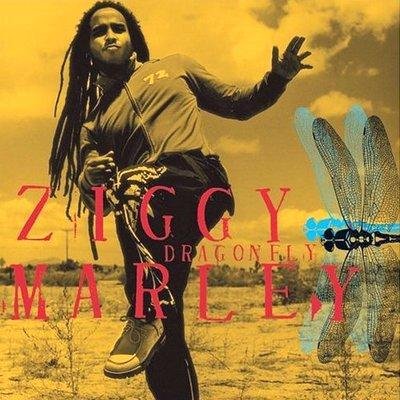 Ziggy Marley - Don't You Kill Love