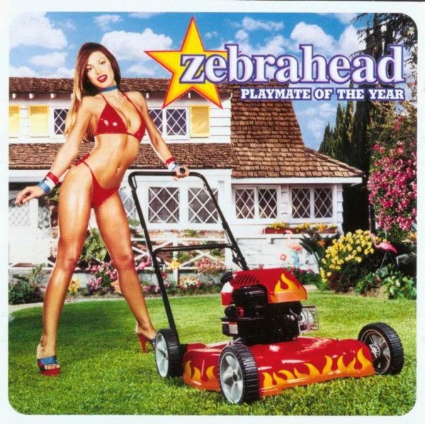 Zebrahead - All I Need