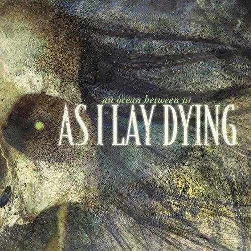 As I Lay Dying - Comfort Betrays