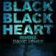 David Usher - Black Black Heart (D'n'B Remix)