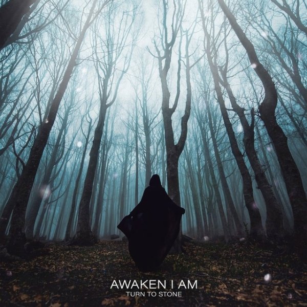 Awaken I Am - Turn To Stone