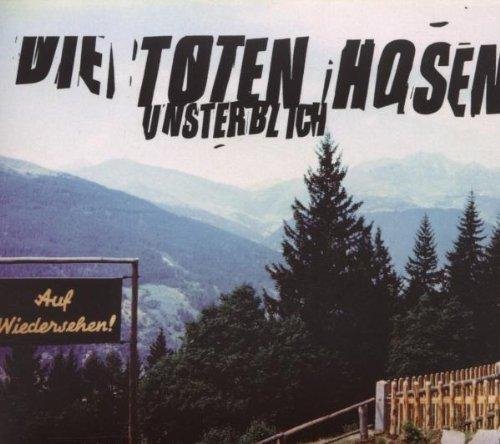 Die Toten Hosen - Regen