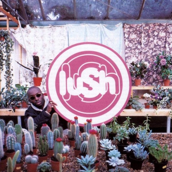 Lush - Single Girl