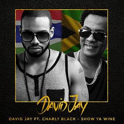 David Jay &amp; Charly Black - #Show Ya Wine