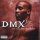 DMX - The Rain