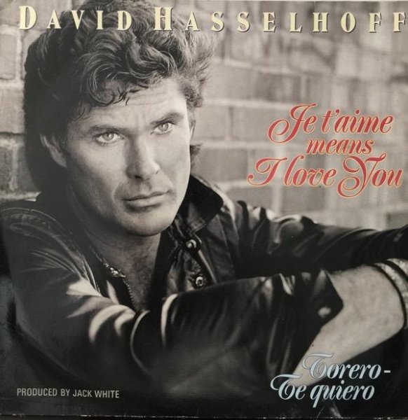 David Hasselhoff - Je T'aime Means I Love You (Radio Version)