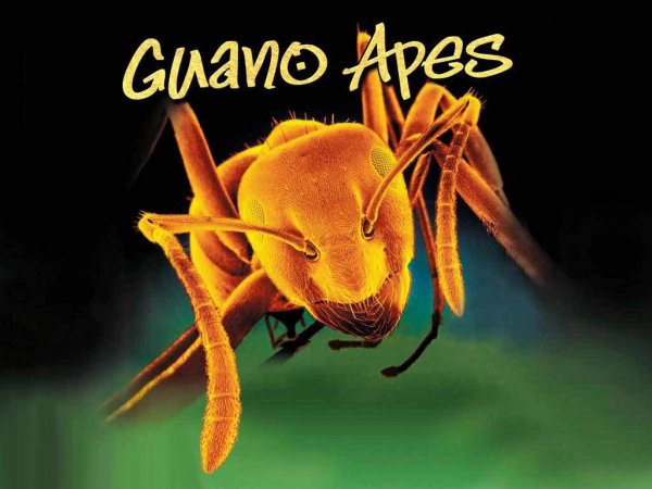 Guano Apes - Guano Apes  Open Your Eyes