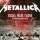 Metallica - The Ecstasy Of Gold