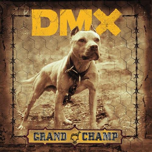 DMX - We go hard