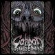 Caliban - Between The Worlds Live At With Full Force 2008