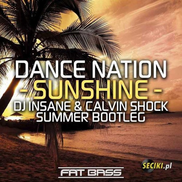 Dance Nation - Sunshine (DJ Insane & Calvin Shock Summer Bootleg)