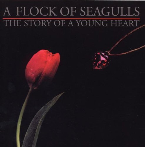 A Flock Of Seagulls - The End