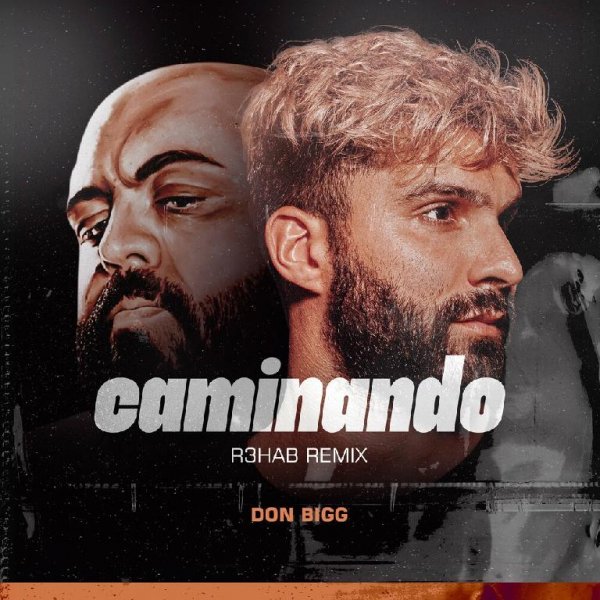 Don Bigg - Caminando (R3hab Remix)