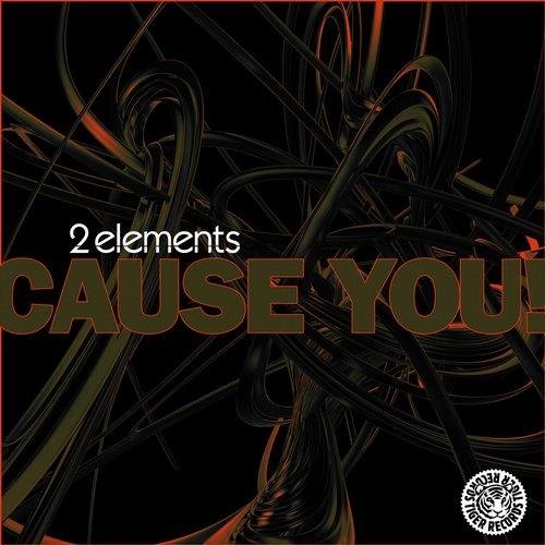 2Elements - Cause You (2elements Mix)