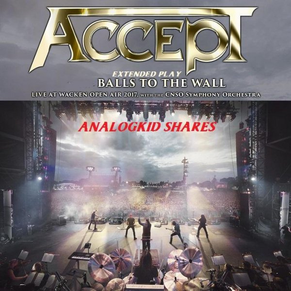 Accept - Dogs On Leads