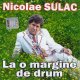 Nicolae Sulac - La o margine de drum