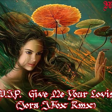 D.I.P. -  Give Me Your Lovin (Jora J. Fox Rmx)