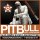 Pitbull feat. Chris Brown - International Love Alex Akimov  Ivan Flash Booty Radio Mix