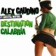 Alex Gaudino feat. Crystal Waters - Destination Calabria (2007)