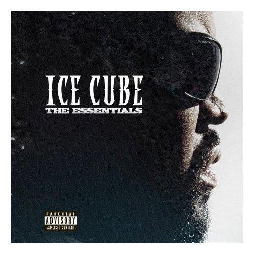 Ice Cube - Spittin' Pollaseeds