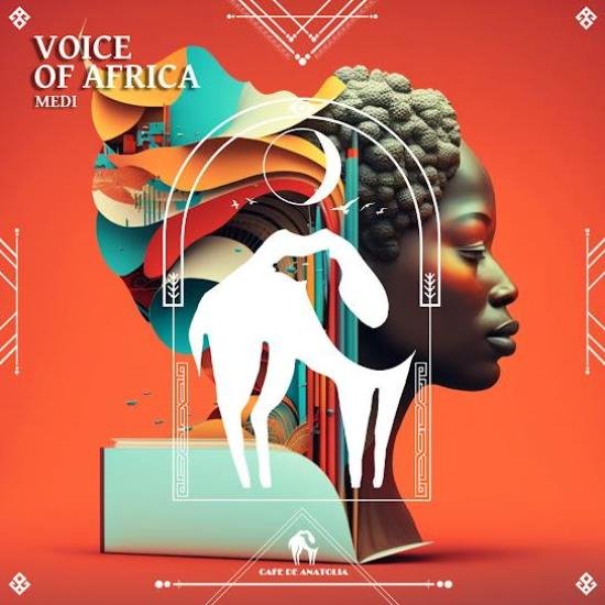 MEDI - Voice of Africa