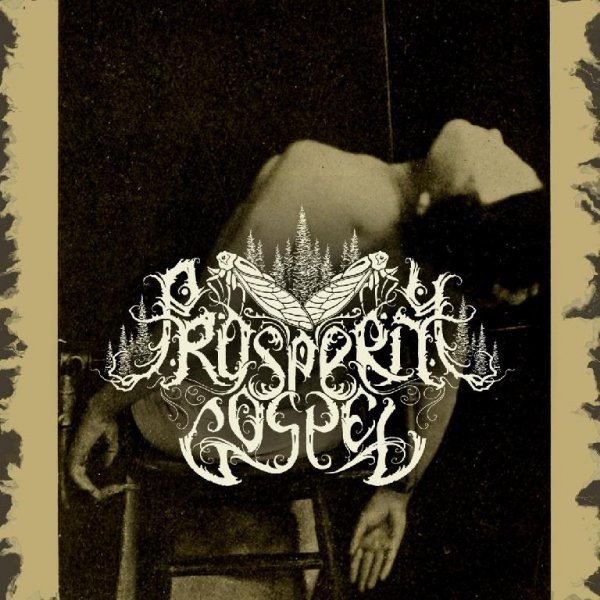 Prosperity Gospel - Scattered Between the Roots