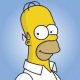 Homer Simpson - Poker Face