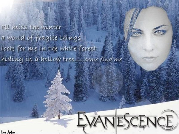 Evanescence - My last breath