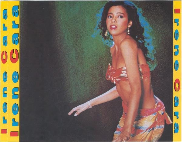 Irene Cara - You Took My Life Away