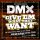 DMX - Give Em What They Want