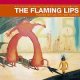 The Flaming Lips - Do You Realize